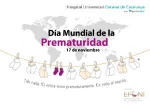 EFCNI_WPD_logo_highres_ES