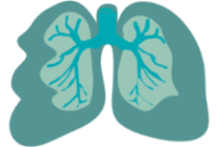 pulmones-01