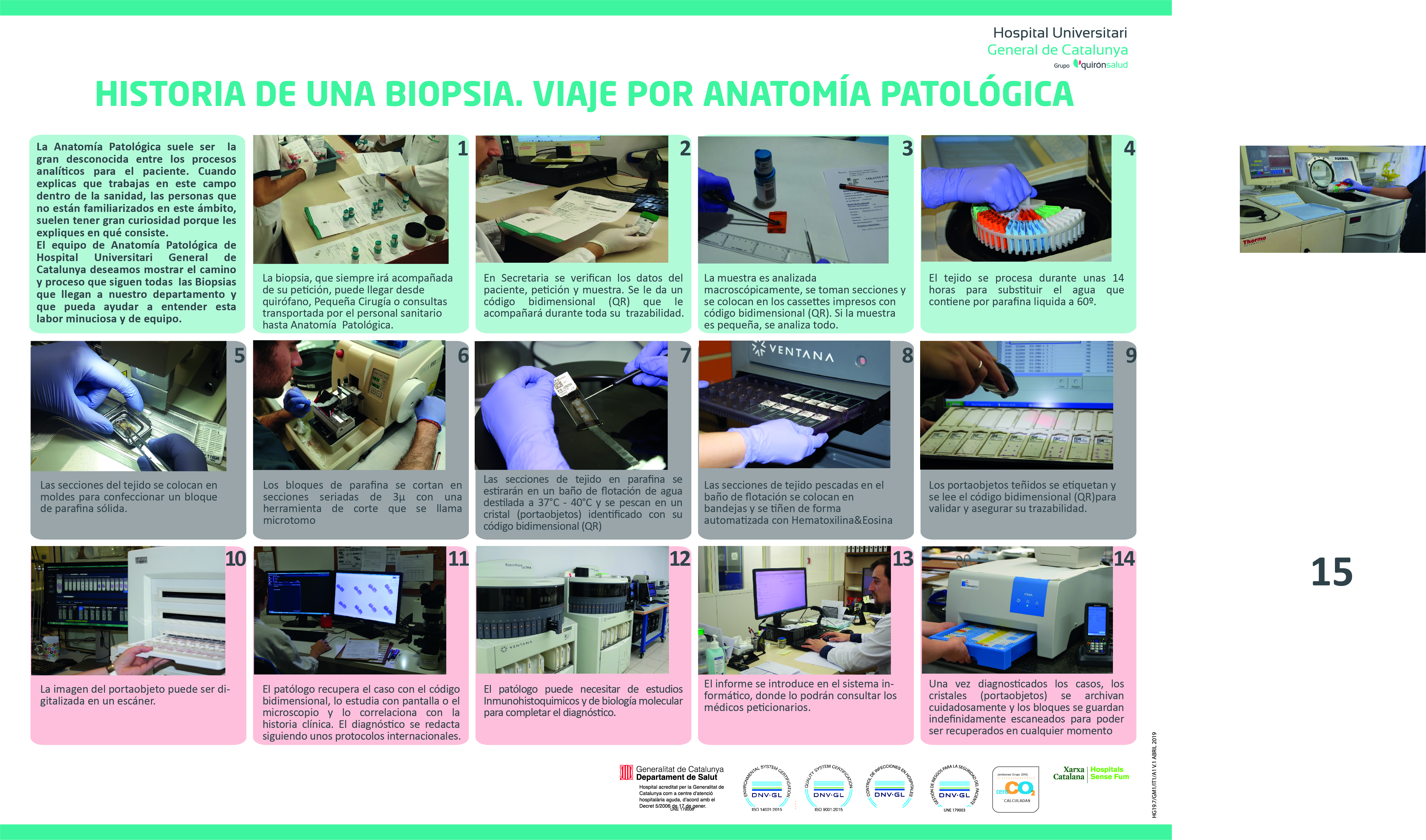 AnaPatologica2019-2