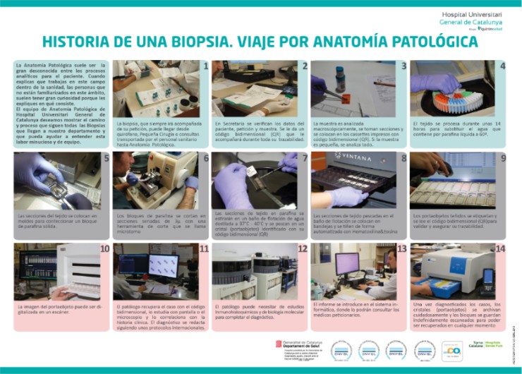 AnaPatologica2019-2