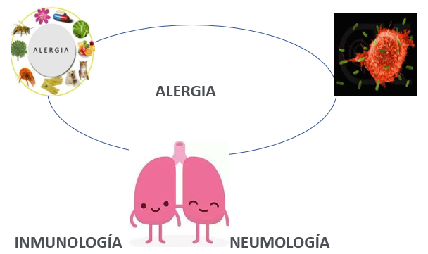 Unidad neumologia pediatrica HGC