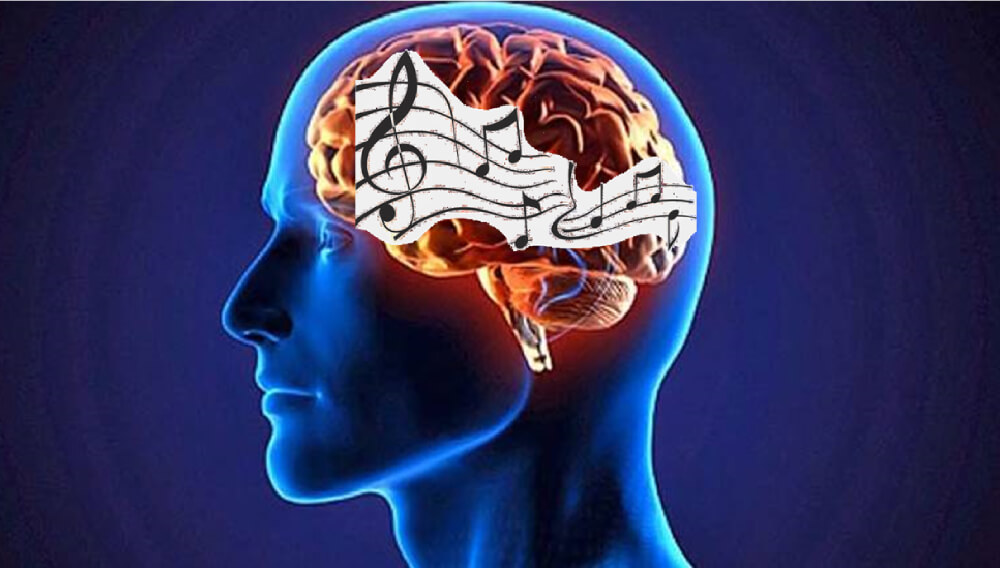 SINFONÍA DEL CEREBRO MÚSICA Y NEUROCIENCIA