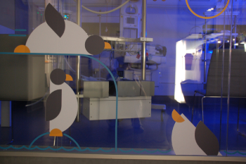 12. Pingüins